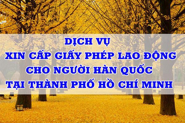Dịch Vụ Xin Cấp Giấy Phép Lao Động Cho Người Hàn Quốc Tại Thành Phố Hồ Chí Minh