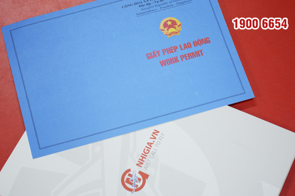 Cấp Giấy Phép Lao Động Cho Giám Đốc Điều Hành Người Nước Ngoài