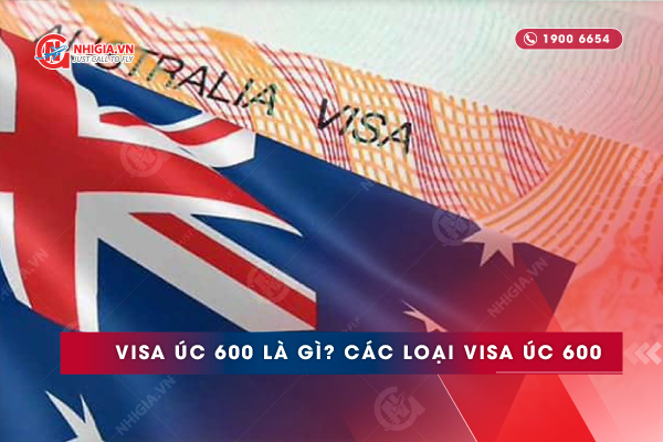 Visa 600 &Uacute;c l&agrave; g&igrave;