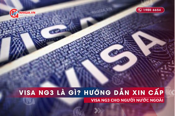 Visa NG3 là gì? Hướng dẫn xin cấp visa NG3 cho người nước ngoài