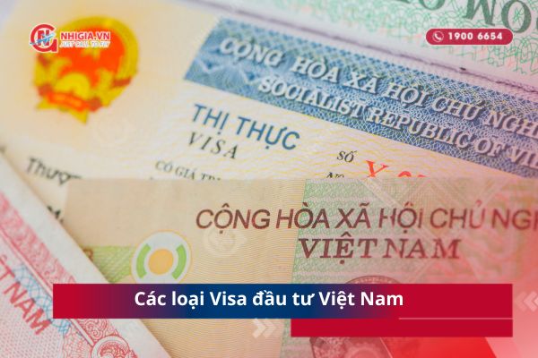 Các loại Visa đầu tư Việt Nam