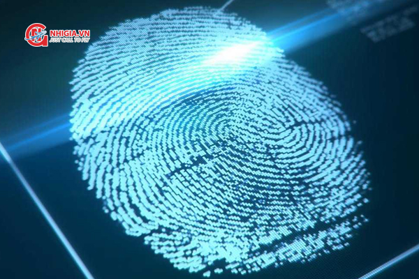 Sinh trắc học bao gồm những gì