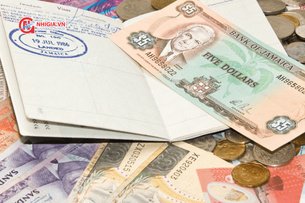 Chi phí xin Visa 590 Úc