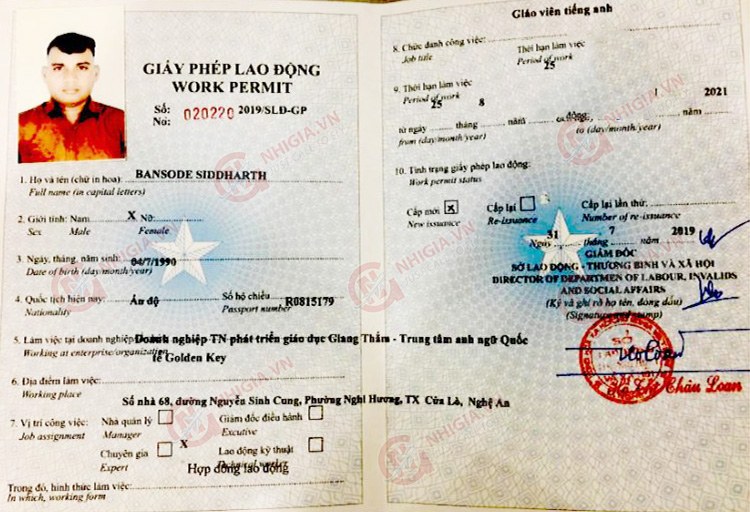 Làm work permit cho giáo viên nước ngoài