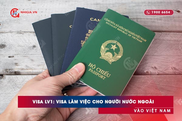 Visa LV1: Visa làm việc cho người nước ngoài vào Việt Nam