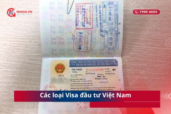 Visa đầu tư Việt Nam là gì? Thủ tục xin visa đầu tư cho người nước ngoài